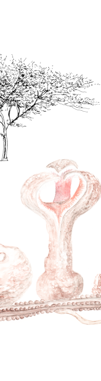Parasitismus