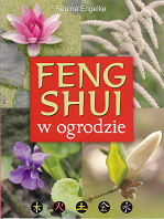 Feng Shui - Poland