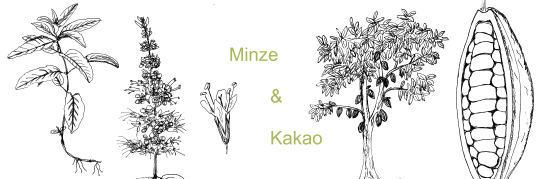 Minze und Kakao
