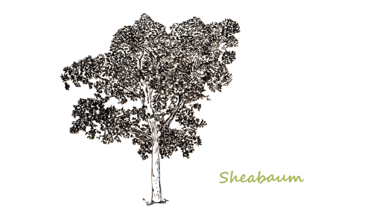 Sheabaum